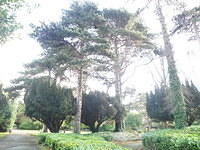 PB060378