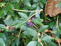 PB060406