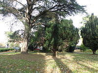 PB060407