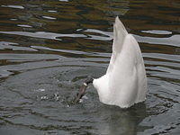 PC040086