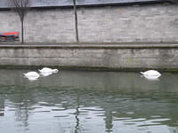 PC040117