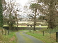 PC130439