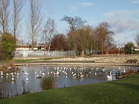 PC173747