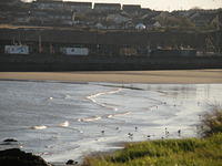 PC270679