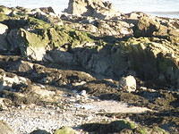 PC270684