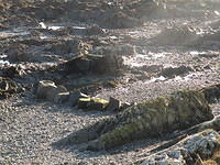 PC270687