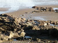 PC270689