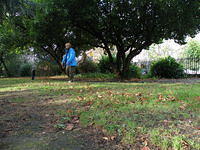 PB060387