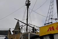  DSC1804