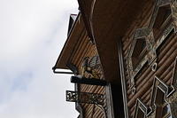  DSC1955