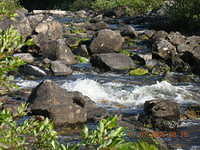 DSCN0472
