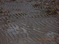 DSCN0582