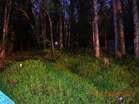 DSCN0882