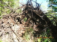 DSCN0891