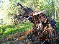 DSCN0894