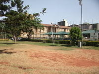 DSCF5377