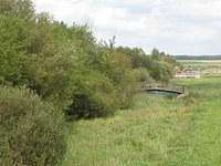 P8090065