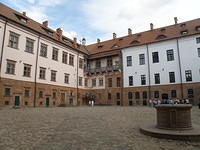 P8090078