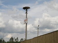 P8090126