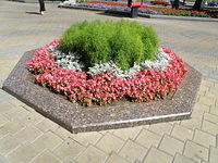 P8100201