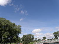 P8100205