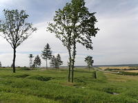 P8120494