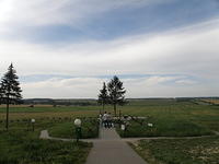 P8120512