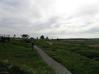 P8120531