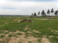 P8120544