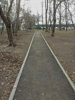 20170426 082253