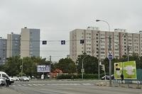  DSC0800
