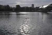  DSC5827
