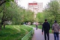  DSC7074