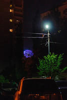  DSC7157
