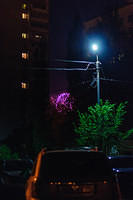 DSC7161