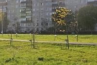  DSC7418