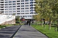  DSC7434