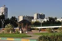  DSC7445