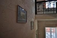  DSC5026