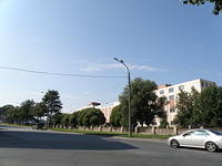P8290081
