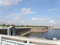 P8290233