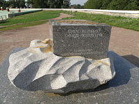 P8290241