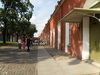 P8290246