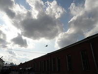 P8290261