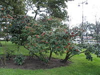 P8290286