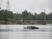 P8300379