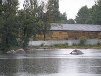 P8300380