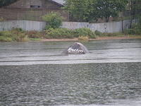 P8300382