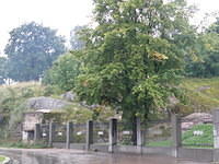 P8300409