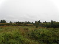 P8300420